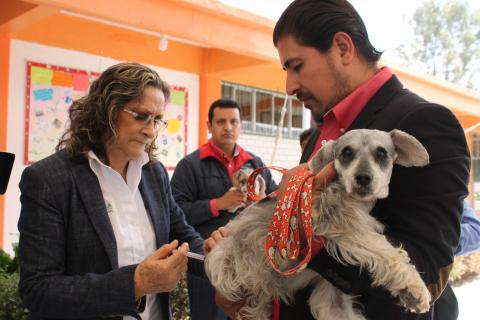 Arranca en Papalotla Semana de Vacunación Antirrábica imagen 5