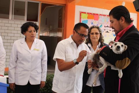 Arranca en Papalotla Semana de Vacunación Antirrábica imagen 6