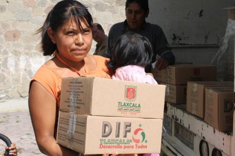 Reciben familias de Apetatitlán despensas por parte del DIF Estatal imagen 3