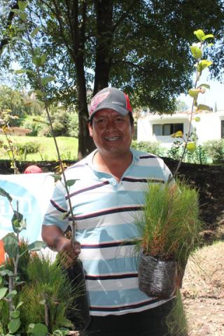Inicia Apetatitlán segunda campaña de reforestación "Adopta un árbol frutal y forestal" imagen 4