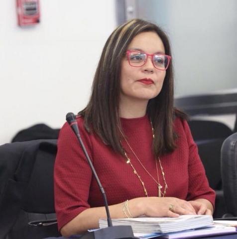 Presidenta del IAIP defiende su titularidad y el Ejecutivo la reconoce