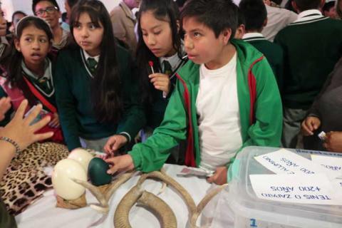 Alcalde impulsa en los jóvenes la 3er Feria de Servicios con 34 instituciones imagen 2
