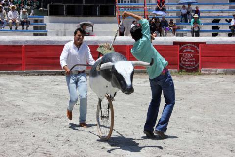 Presenta Uriel Moreno “El Zapata”, Clase Taurina en Calpulalpan imagen 10