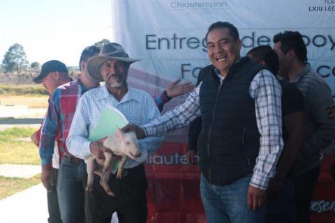 Alcalde beneficia a más de 100 productores con 160 porcinos imagen 2