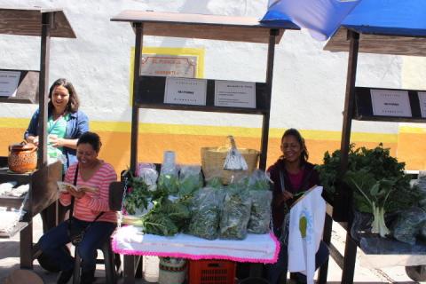 Instalan en Huamantla mercado de huertos familiares imagen 4