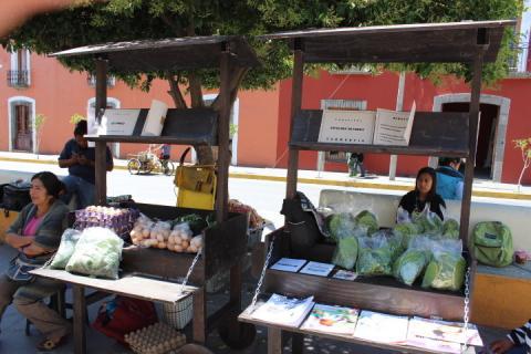 Instalan en Huamantla mercado de huertos familiares imagen 5