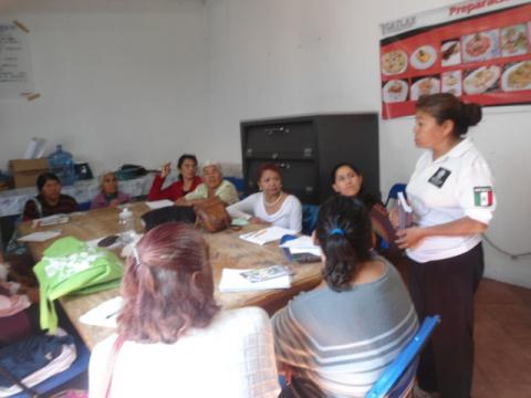 Reciben Adultos Mayores del municipio de Tetla de la Solidaridad, Talleres Domésticos imagen 3