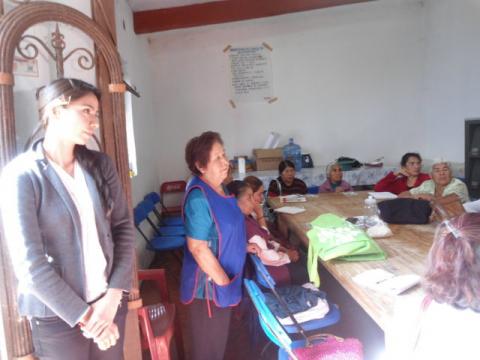 Reciben Adultos Mayores del municipio de Tetla de la Solidaridad, Talleres Domésticos imagen 1