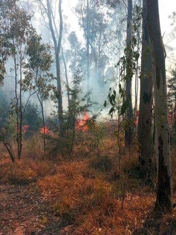 En oportuna respuesta, sofoca incendios Protección Civil municipal en predios capitalinos imagen 1