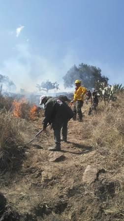 Apoya Protección Civil en el combate de incendio entre Huamantla y Terrenate imagen 4