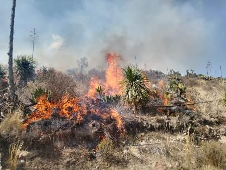 Apoya Protección Civil en el combate de incendio entre Huamantla y Terrenate imagen 3