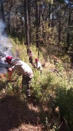 Brigadistas sofocan incendio en el parque nacional Malinche imagen 2