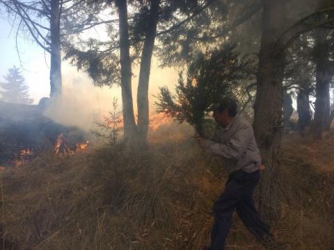 Se incendia ejido de Huiloapan en Panotla imagen 1