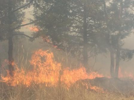 Se incendia ejido de Huiloapan en Panotla imagen 2