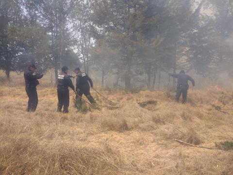 Se incendia ejido de Huiloapan en Panotla imagen 3