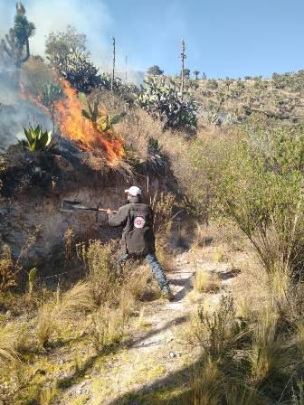 Apoya Protección Civil en el combate de incendio entre Huamantla y Terrenate imagen 2