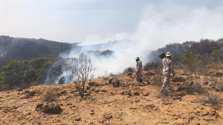 Brigadistas combaten incendio en cerro El Ostol de Tizatlán imagen 1