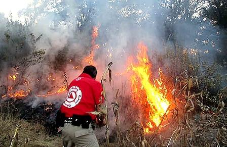 Tlaxcala entre los estados que registró más incendios en el 2018