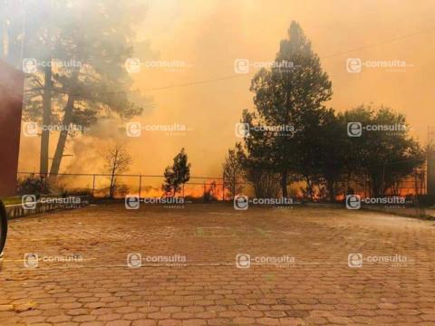 Se incendia bosquecito junto a la UAT imagen 1