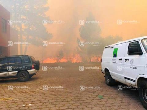 Se incendia bosquecito junto a la UAT imagen 2