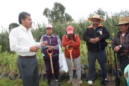 Mejoran el medio ambiente sembrando 10 mil árboles imagen 1