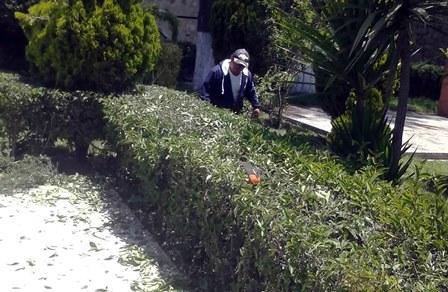 En marcha programa de embellecimiento de parques imagen 2