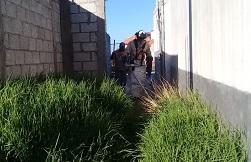 Realizan Jornada de Limpieza en Fraccionamiento “Real de Sol” imagen 2