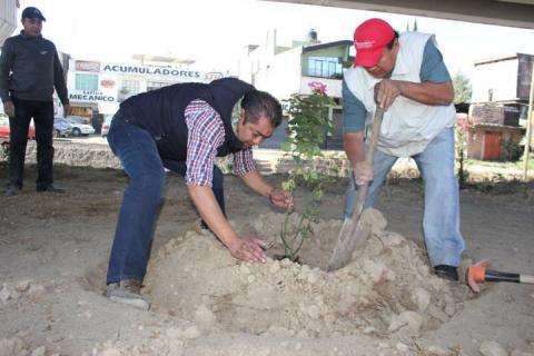 Inicia Chiautempan y Cossies jornada de limpieza y forestación imagen 3