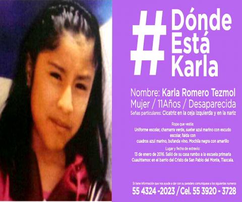 Interviene el Senado en el caso de la niña Karla Romero
