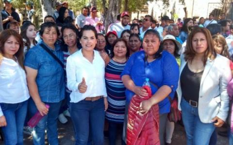Detectan nido de mapaches priístas; ya se denunció a la FEPADE