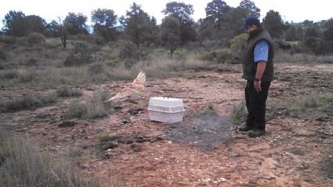 Libera Profepa 5 ejemplares de vida animal silvestre, en Tlaxcala imagen 1