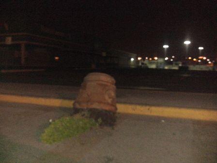 Atacan en Chiautempan ornamentos públicos imagen 2