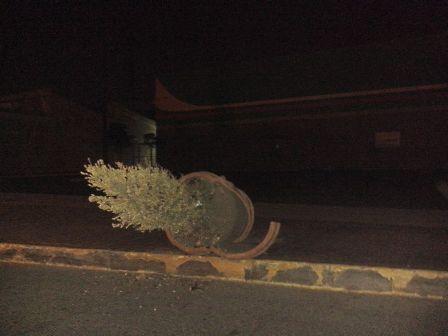 Atacan en Chiautempan ornamentos públicos imagen 3