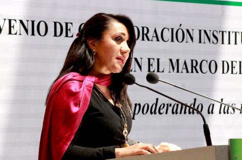 Trabaja el Tsje para proteger derechos de las mujeres imagen 2