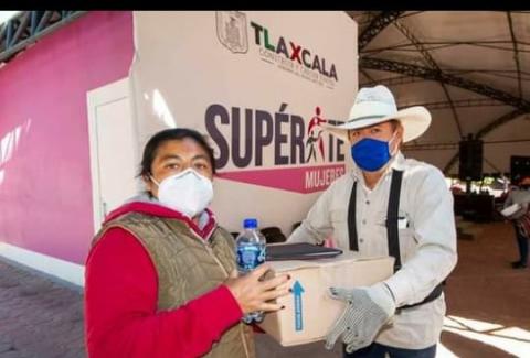 Descubren nido de mapaches del PRI imagen 8