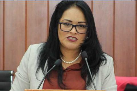 Diputada de MC es señalada por negar apoyo a Teolocholco