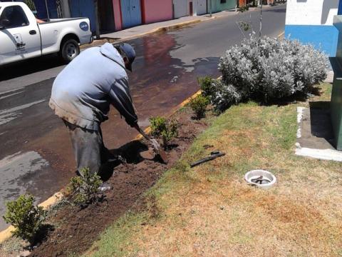 Atiende CAPAM fugas de agua de forma inmediata las 24 horas imagen 2