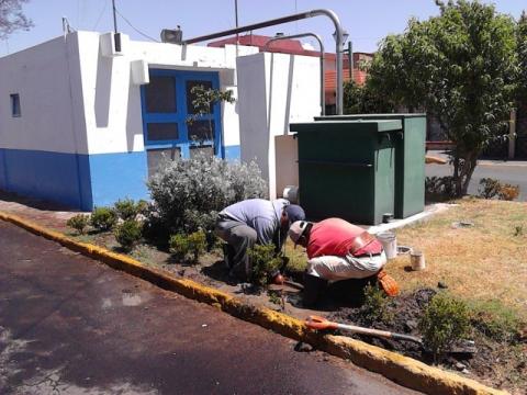 Atiende CAPAM fugas de agua de forma inmediata las 24 horas imagen 1