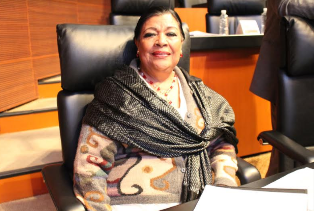 Conforma la senadora Martha Palafox agenda legislativa