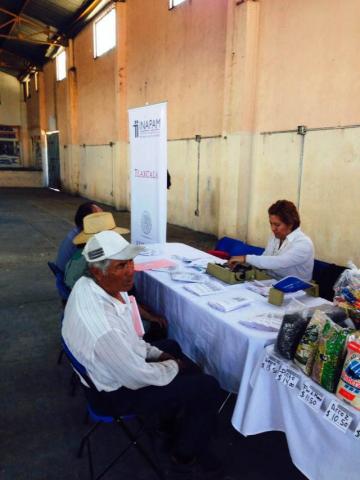 Llega Jornada del Adulto Mayor al municipio de mazatecochco imagen 2