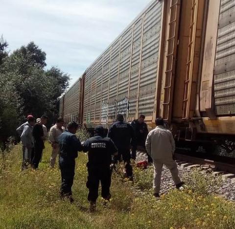Muere presunto migrante al caer del tren en movimiento imagen 2