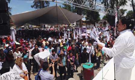 Muestran músculo AMLO y Palafox en campaña imagen 1