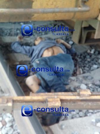 Muere presunto migrante al caer del tren en movimiento imagen 1