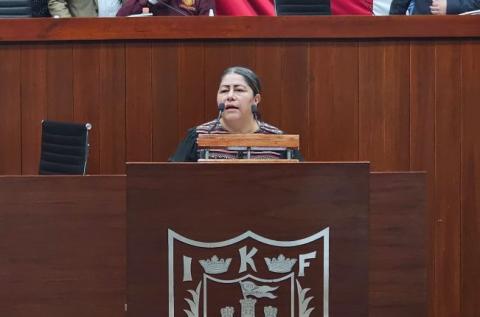 Considera Blanca Águila que reforma al poder judicial es sinónimo de autocracia