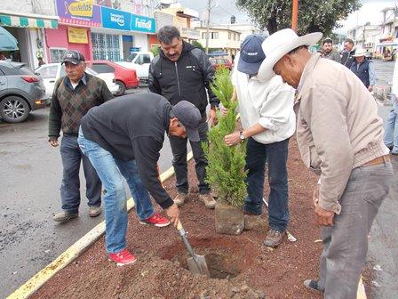 Ayuntamiento de Nanacamilpa reforesta áreas verdes imagen 1