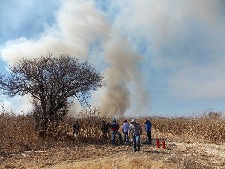 Exhorta ayuntamiento de Nanacamilpa evitar incendios forestales imagen 1