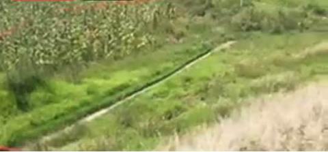 Siguen apareciendo cuerpos de mujeres asesinadas en Tlaxcala