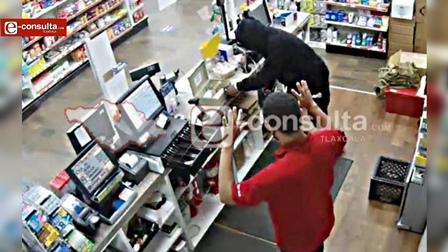 Robos a negocios se ha vuelto una constante en regiones de Tlaxcala