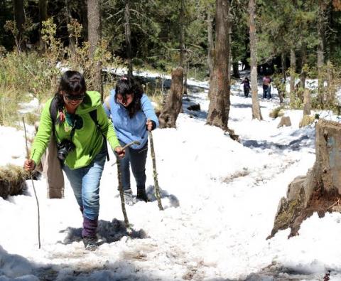 Llegan cientos de visitantes a la nieva de la Malintzi imagen 1