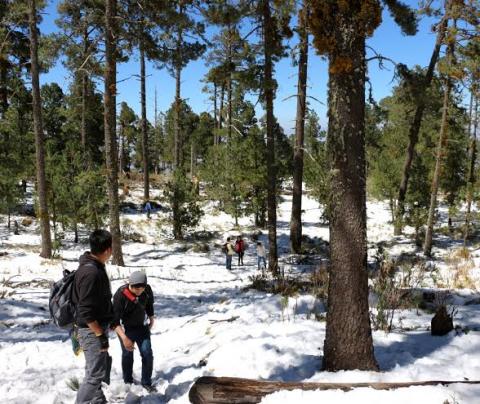 Llegan cientos de visitantes a la nieva de la Malintzi imagen 2